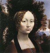 Leonardo  Da Vinci Portrait of Ginevra de' Benci oil painting